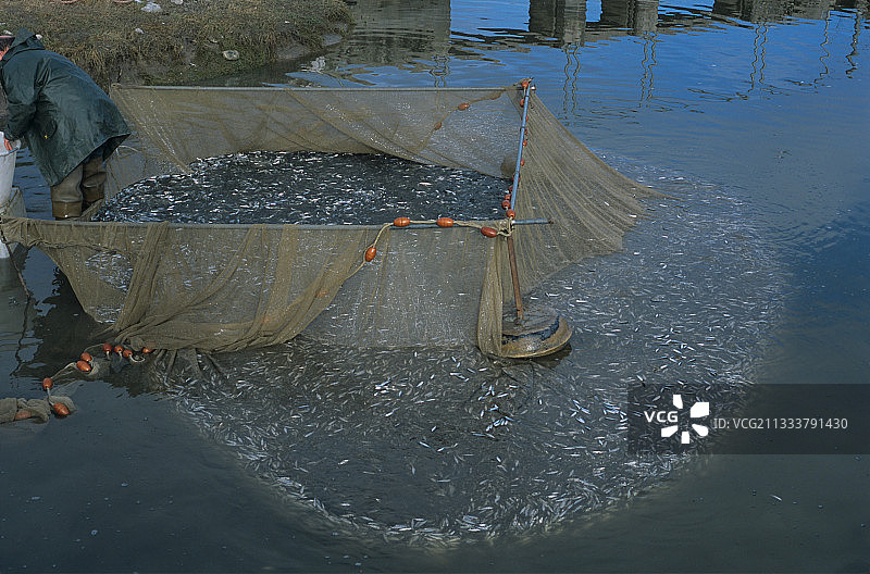 莫泽尔林德的池塘养鱼渔网图片素材