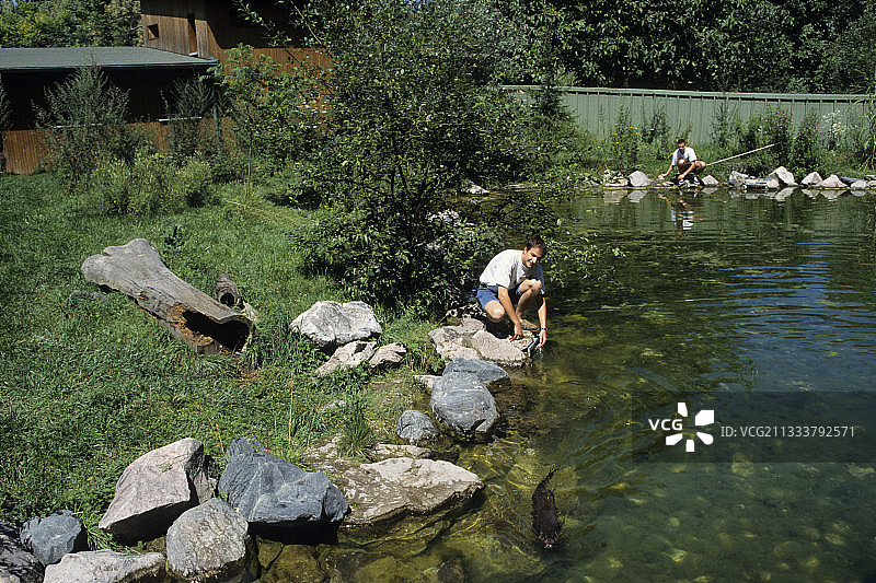 为了研究水獭，创建了七个带有栖息地重建的围栏。只有一个向公众开放，因此可以观察到这种令人惊叹的水生哺乳动物图片素材