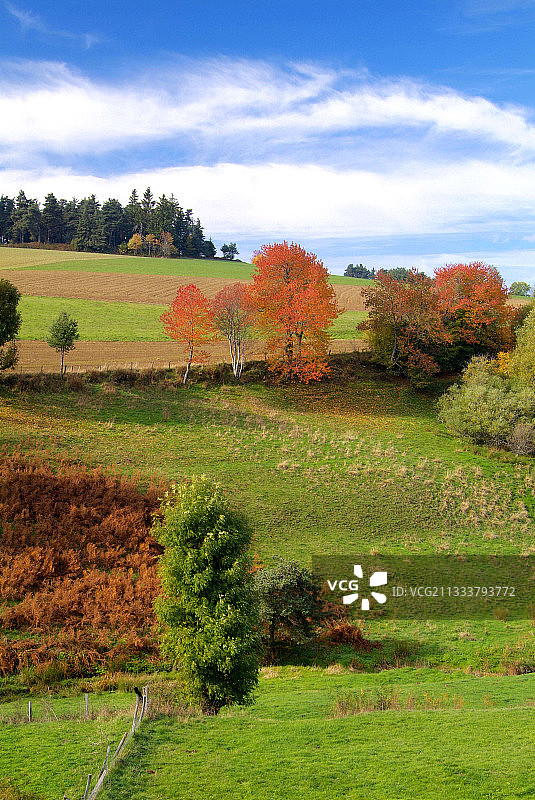 法国奥弗涅的博卡奇景观图片素材