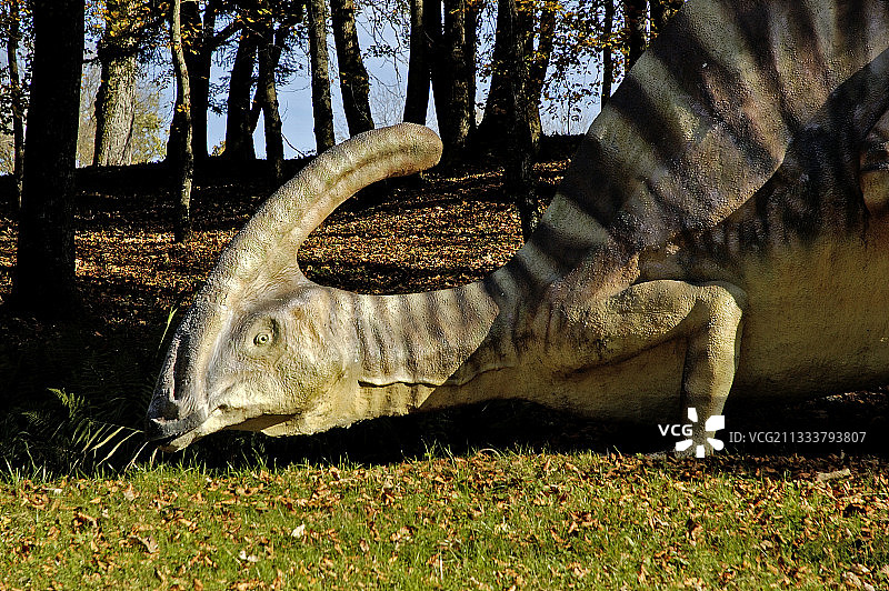 沙尔博尼埃杜布史前公园恐龙动物园图片素材