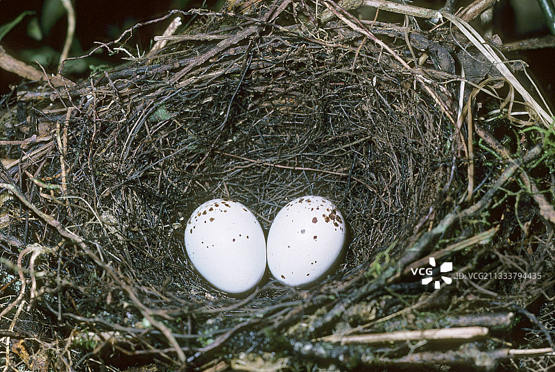 马达加斯加东海岸风光图片素材