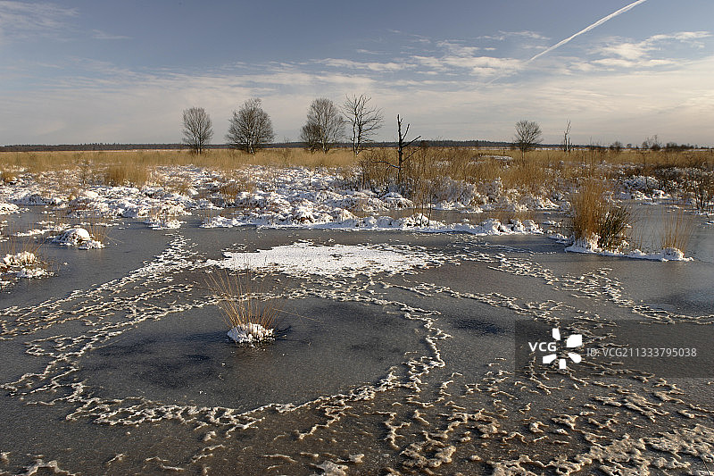 荷兰福赫特洛芬国家公园的霜图片素材