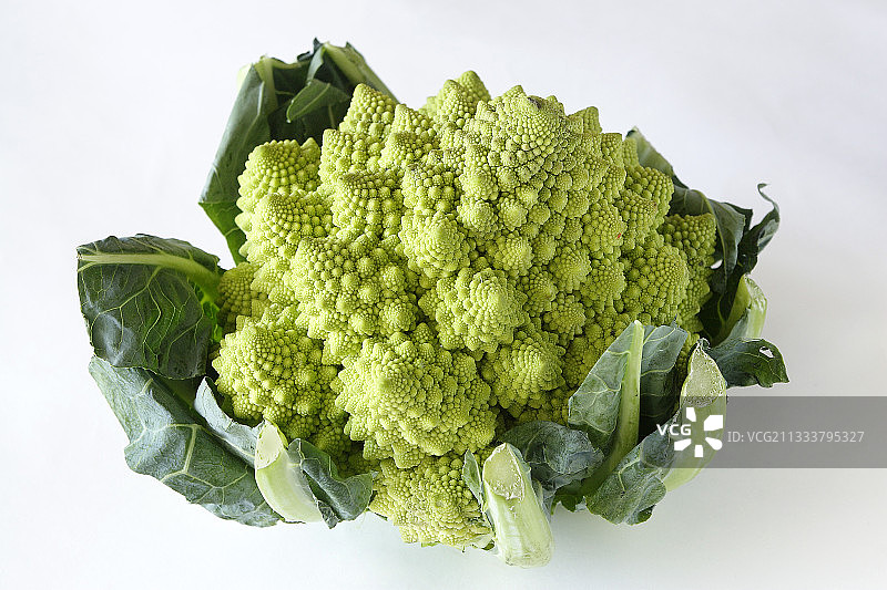 罗马花椰菜图片素材