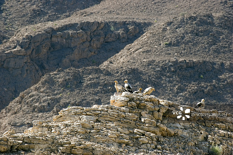 阿曼苏丹国一月风光图片素材