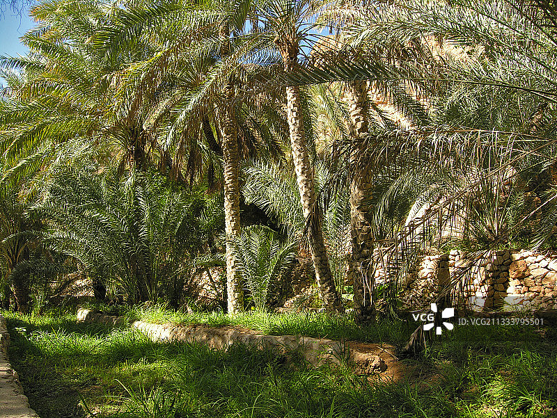 阿曼苏丹国一月风光图片素材