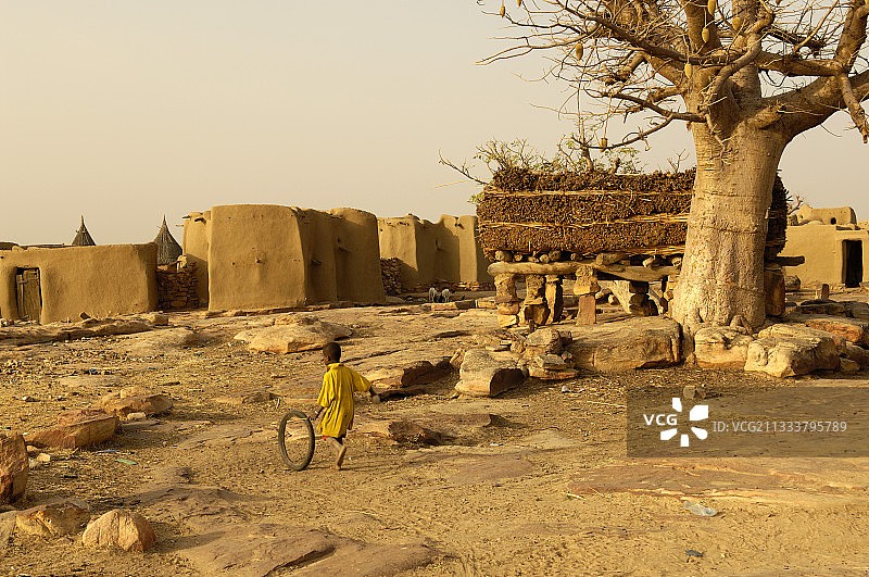 多贡村马里的议事亭和猴面包树图片素材