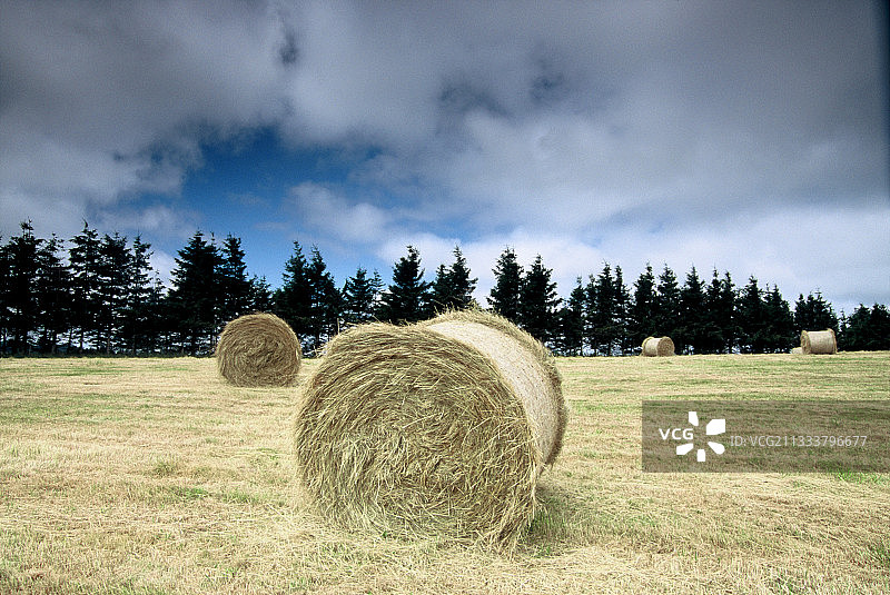 上卢瓦尔省的干草堆与暴风雨天气图片素材