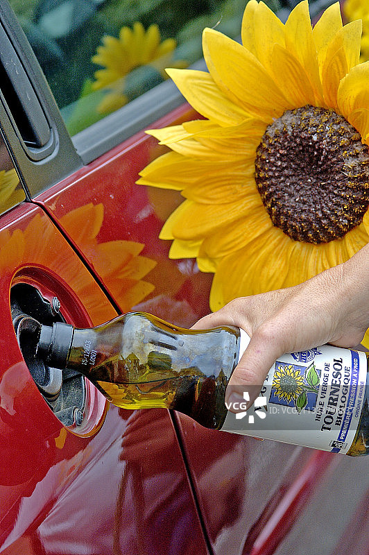 向日葵生物燃料的趣味插画图片素材