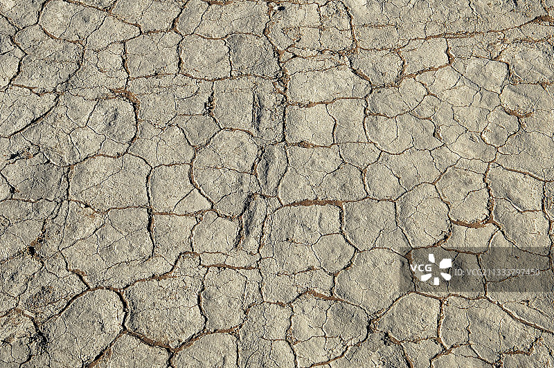 纳米比亚纳米布-诺克鲁夫公园的地面裂缝图片素材