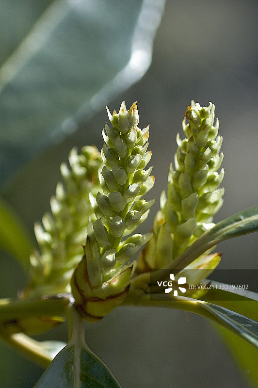 索恩河畔沙隆公社，四月初拍摄图片素材