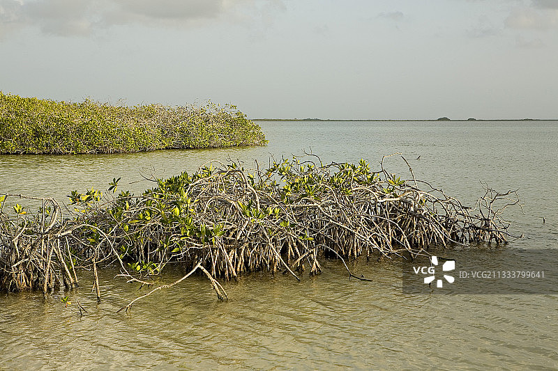 尤卡坦州东海岸图片素材