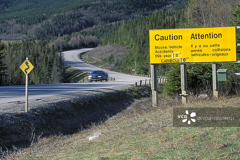 加拿大动物碰撞数量公告牌图片素材
