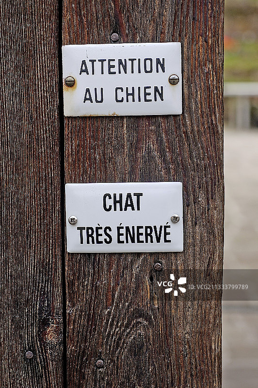 关于猫狗预防的宣传板（法国）图片素材