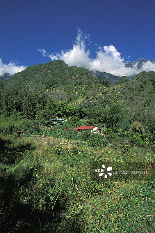 萨拉齐岛留尼旺马戏团的独立式住宅图片素材
