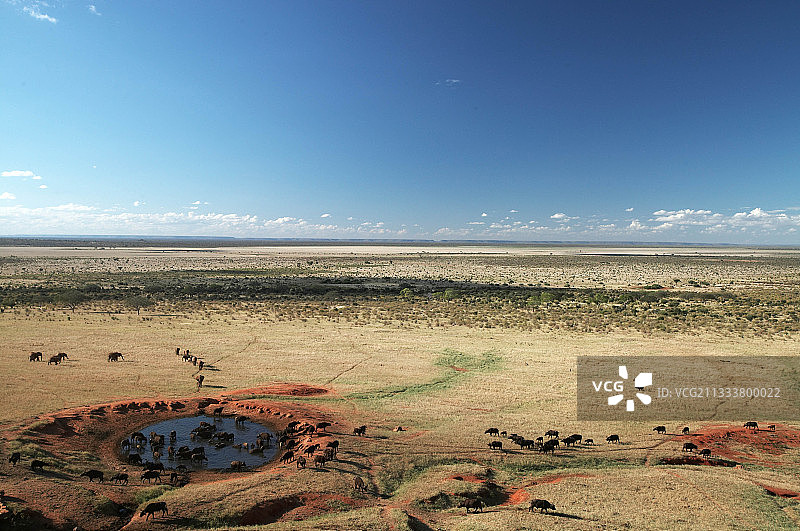 察沃肯尼亚国家公园的动物饮水点图片素材