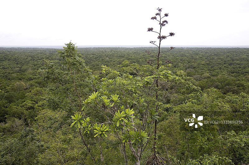 坎佩切省图片素材
