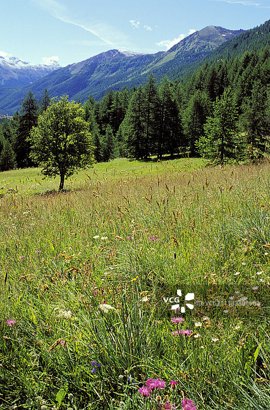 克拉雷山谷图片素材