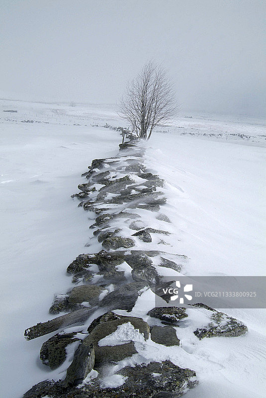 奥弗涅冬季雪地下的玄武岩矮墙图片素材