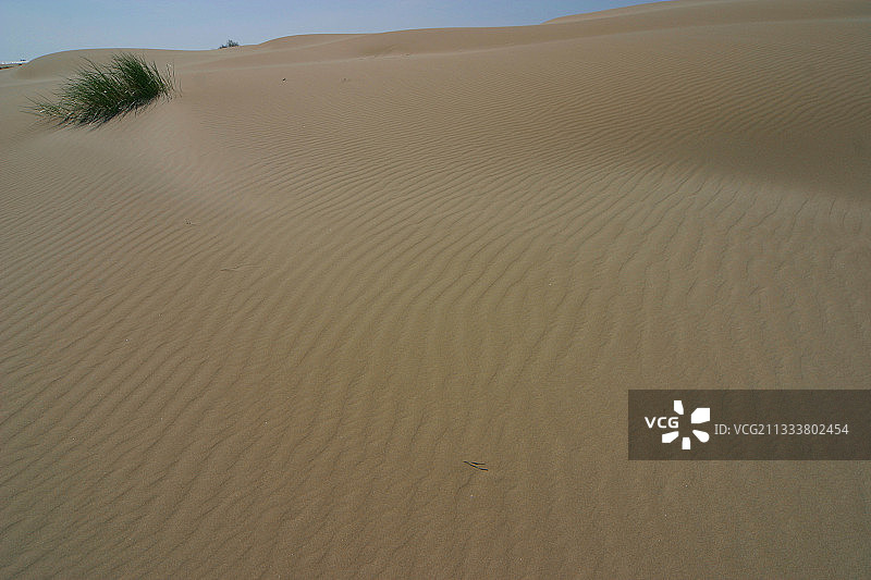 法国卡马格的海岸沙丘图片素材