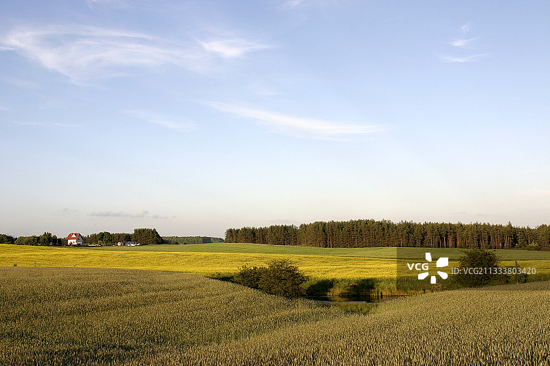 波兰北部卡舒比地区的农业景观图片素材