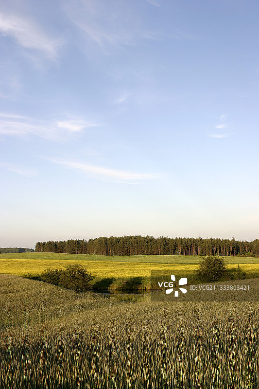波兰北部卡舒比地区的农业景观图片素材