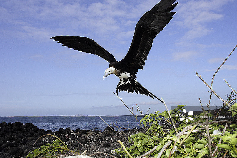 洛博斯岛图片素材