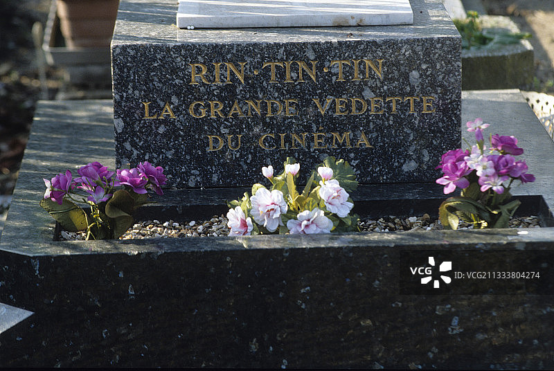 法国阿斯尼埃动物纪念公墓石碑图片素材