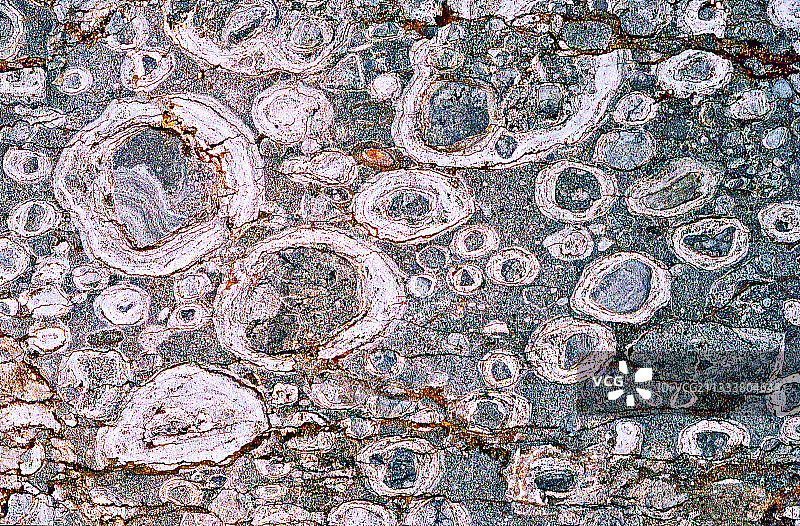 次生沉积岩中的叠层石图片素材