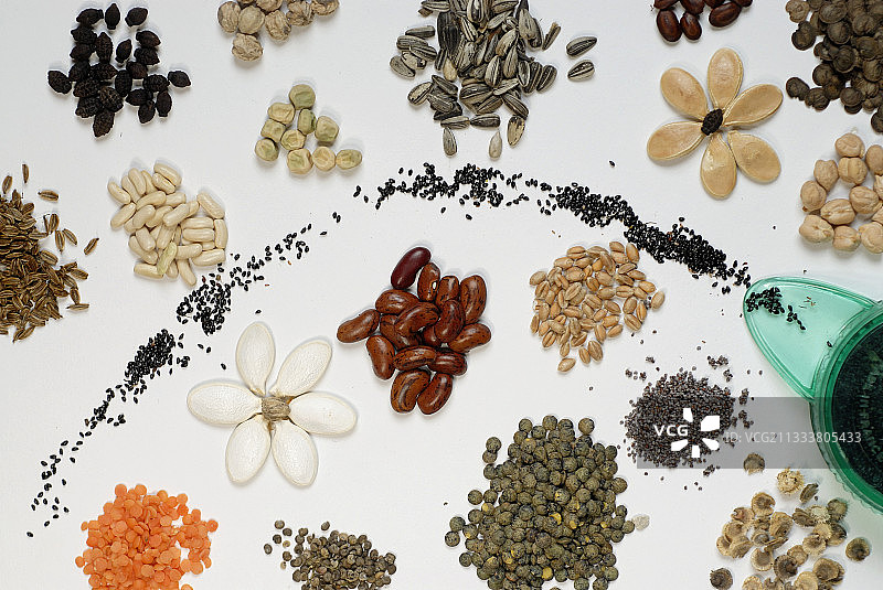 各种种子和播种器组合图片素材