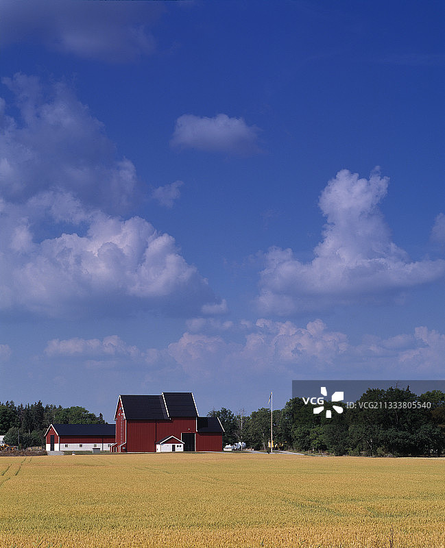 瑞典阿布加的农场和农田图片素材
