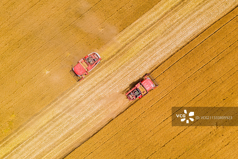 夏季河南黄河边麦田成熟联合收割机收获场景与桃花峪黄河大桥航拍图片素材