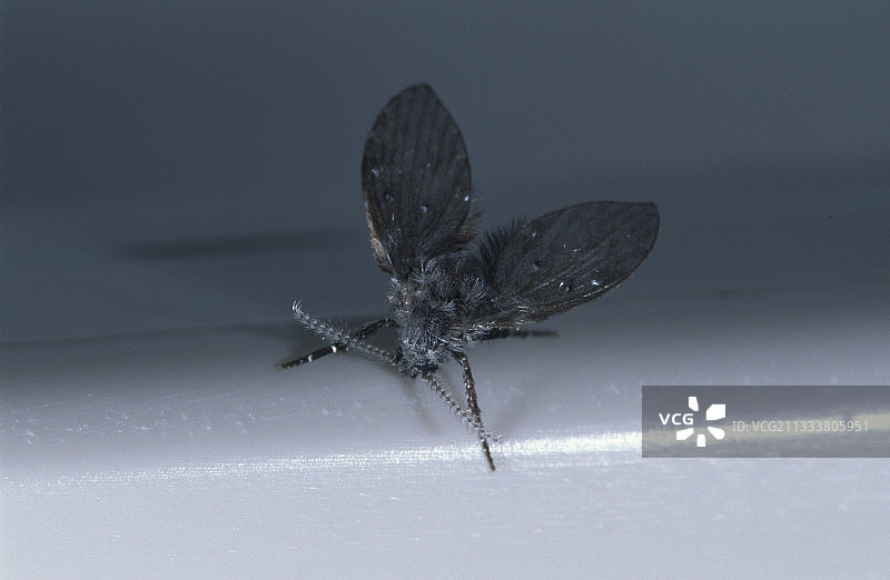 氨污染重要区域图片素材