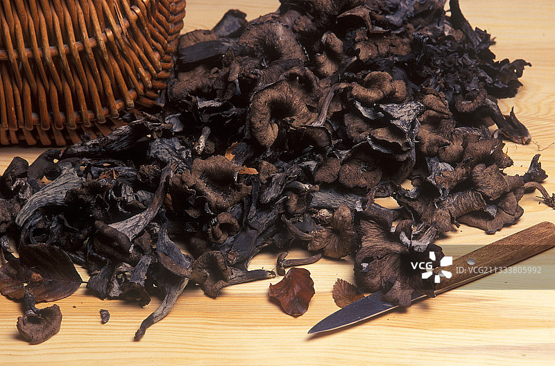 摆放在桌子上的黑色喇叭菌采摘图片素材