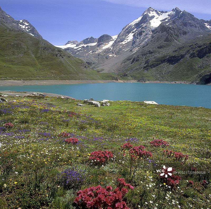 戈莱特冰川风光图片素材
