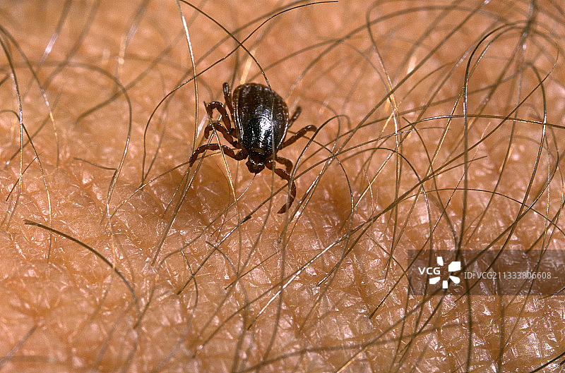 库尔梅斯市图片素材