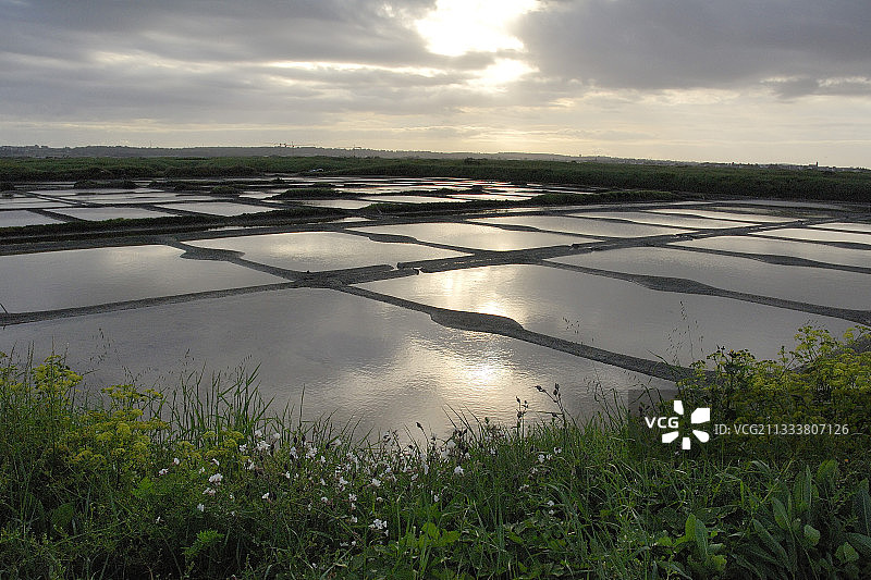 盖朗德盐沼，法国图片素材