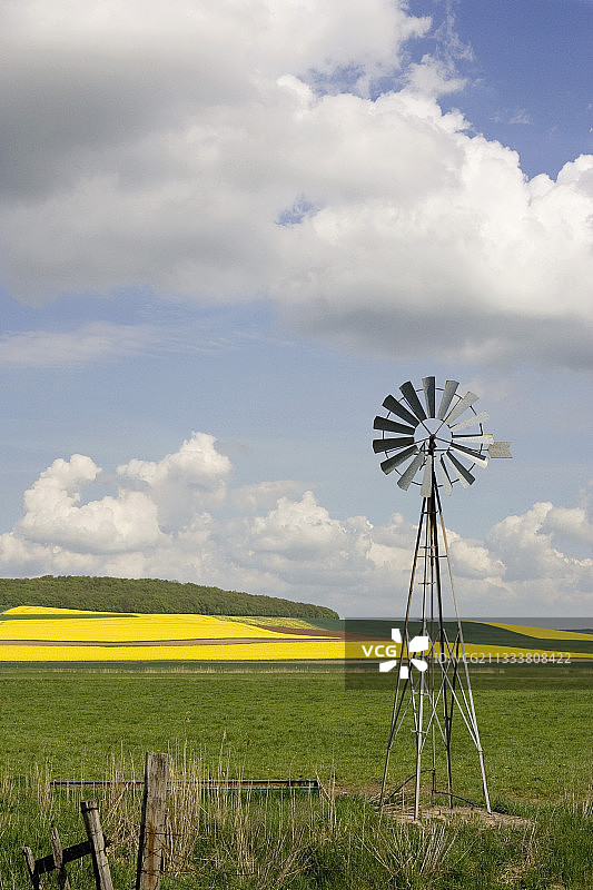 法国草地和盛开的油菜籽田里的风车图片素材