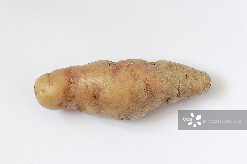 “Corne de Gate”土豆图片素材