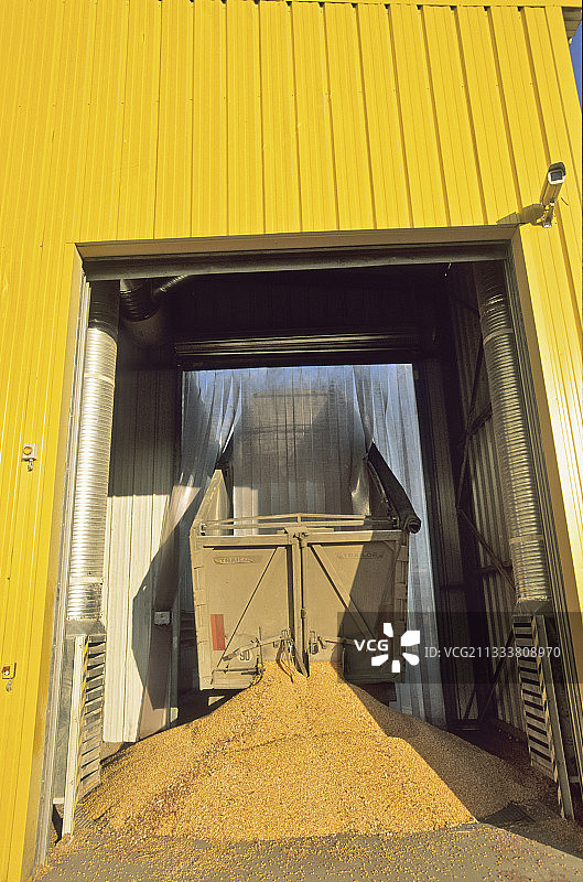 玉米配送到法国合作社筒仓图片素材