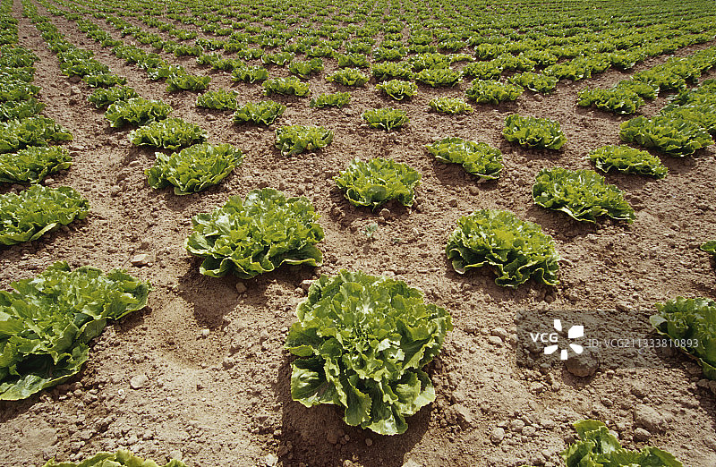 2003年6月1日图片素材