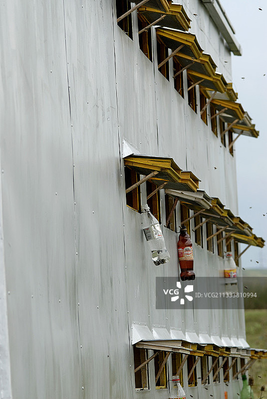 养蜂人根据花期定期移动蜂箱，他可以睡在拖车里。瓶子是用来诱捕黄蜂的图片素材