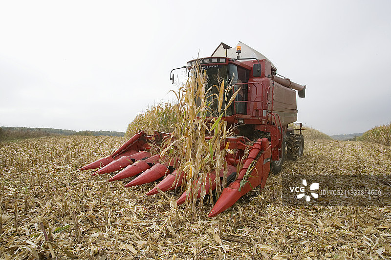 联合收割机在法国收集玉米图片素材