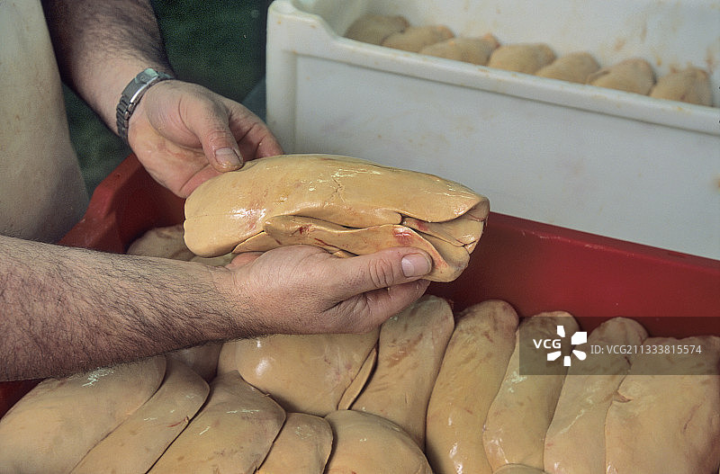 法式鹅肝的准备和清洗图片素材