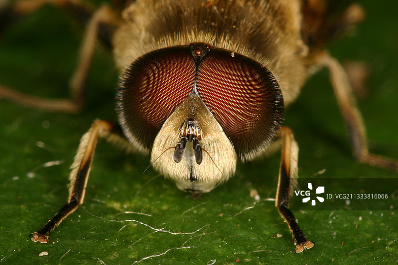 埃弗里公社一景图片素材