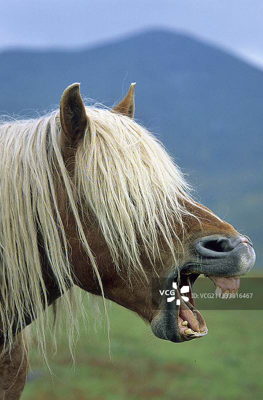 2004年2月23日图片素材