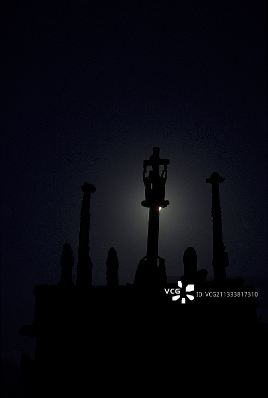 月龄：17天图片素材