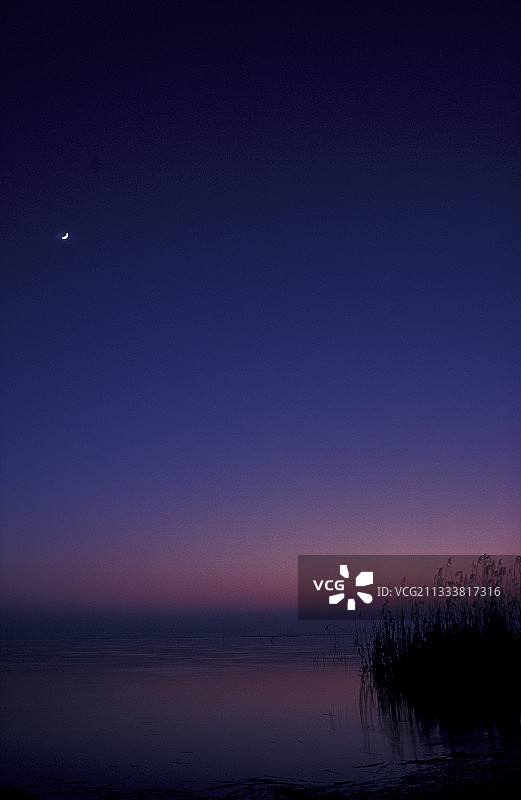 月龄：5天图片素材