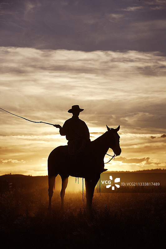 美国俄勒冈州草原上的牛仔和马图片素材