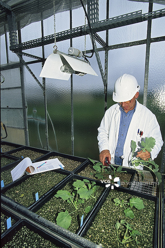 第戎法国国家农业研究院图片素材