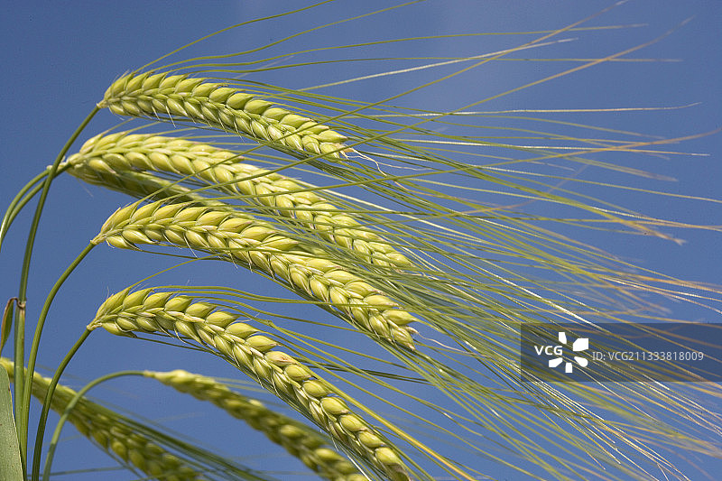 2004年2月23日图片素材